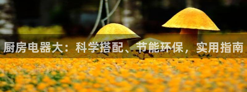 摩登7平台代理