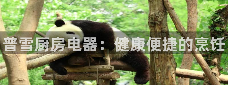 摩登6褚7O667