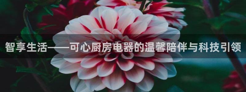 摩登7d2
