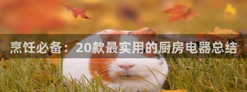 摩登4右7O667