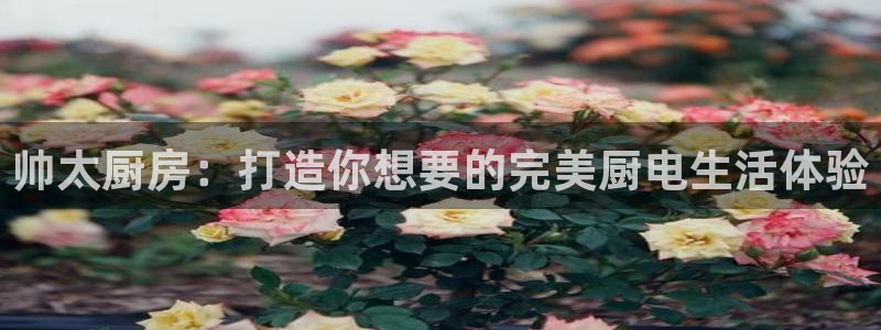 摩登7网站排名