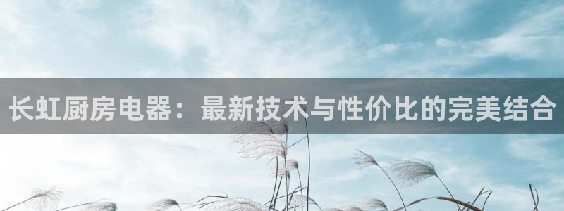摩登7主管