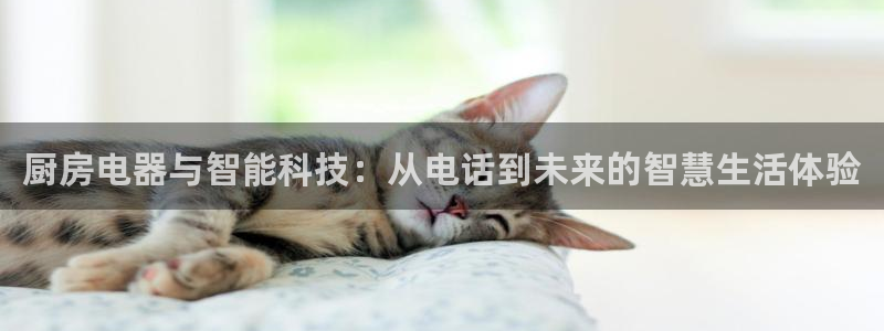 摩登6右7O667