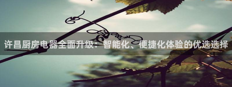 摩登4左7O667