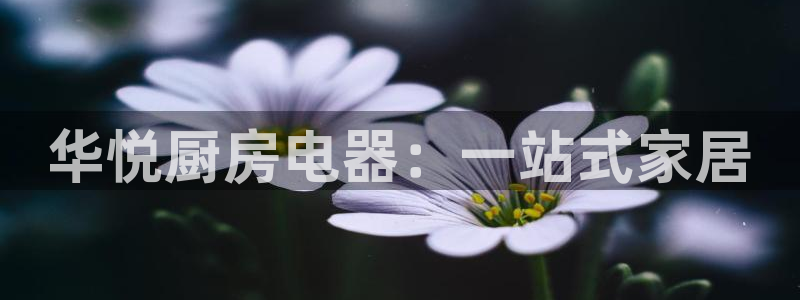 华彩7级摩登