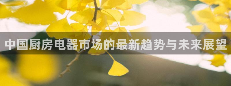摩登6冯这7O667