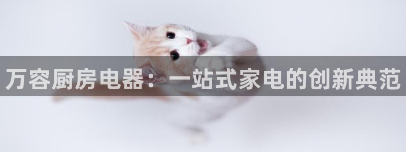 摩登7右