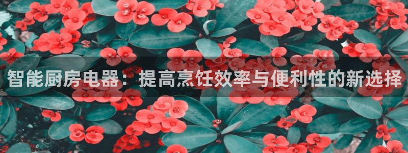 摩登7平台网址下载