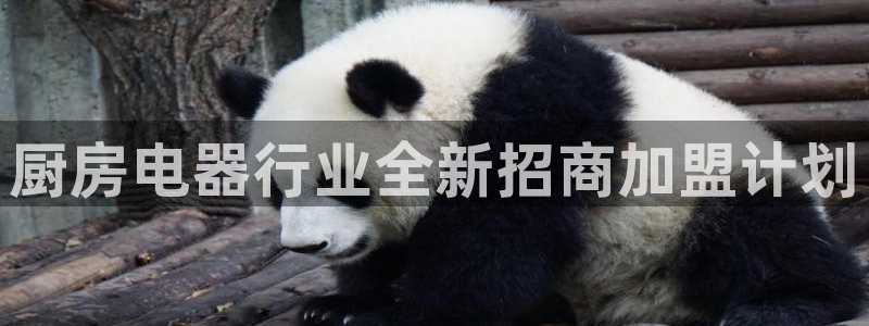 摩登7月3299O7