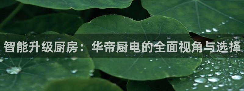 摩登7地7O667