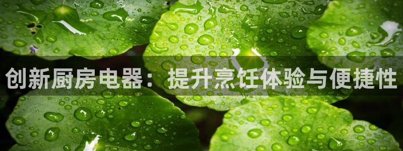 摩登4地7O667