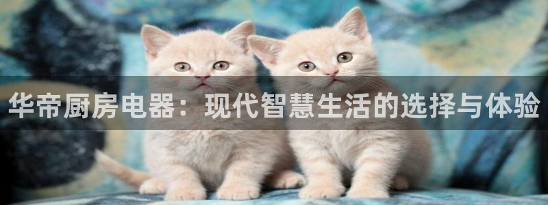摩登7平台网址下载