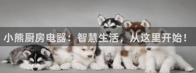摩登7月7O667