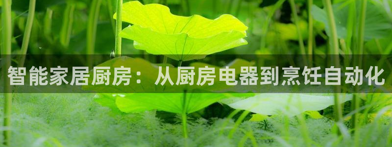 摩登7平台首页