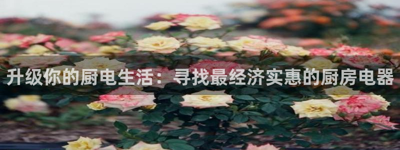 摩登3郑7O667