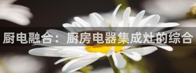 摩登7下