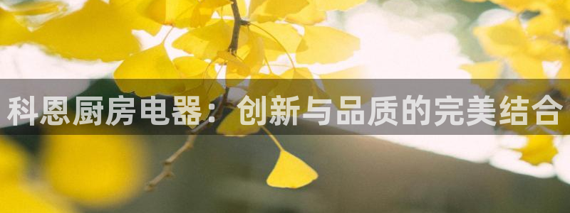 摩登 7