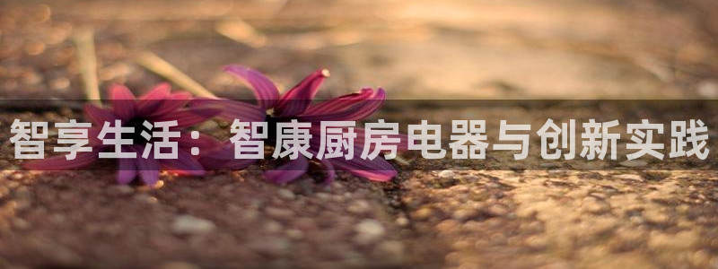 摩登7挂机