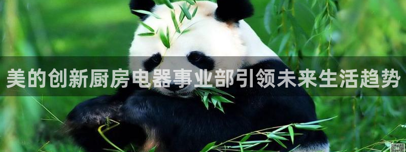 摩登精品7