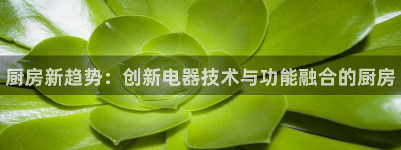 摩登招商7快22650