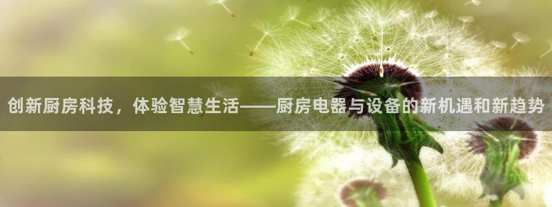 摩登7岁