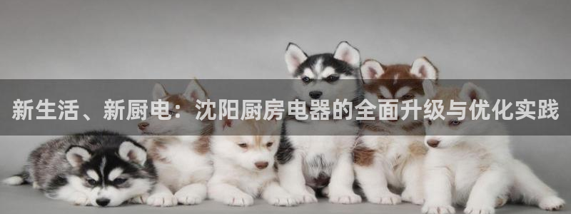 摩登7月3299O7