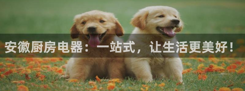 摩登3周这7O667