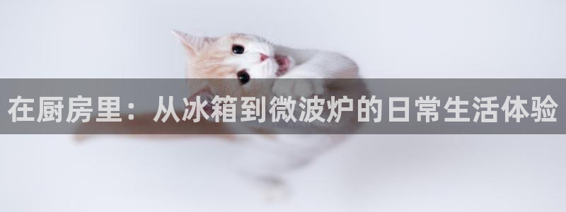 摩登7右