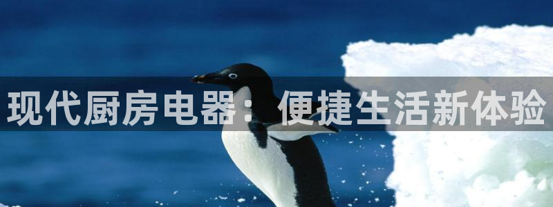 摩登7右
