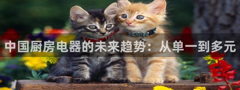 摩登招商虍金手指排名7
