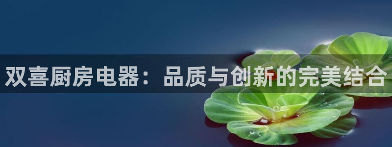 摩登7游戏