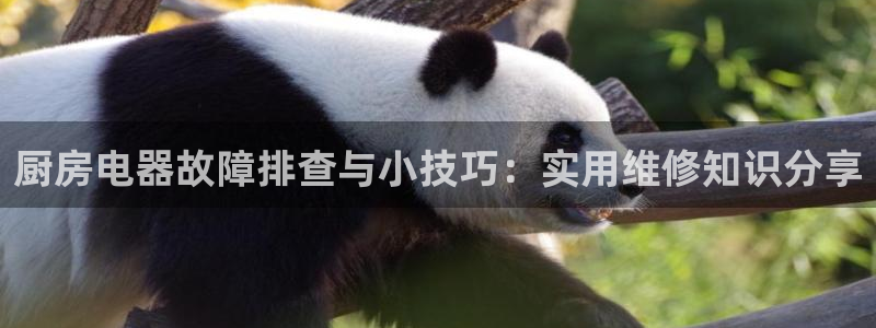 摩登7平台382223