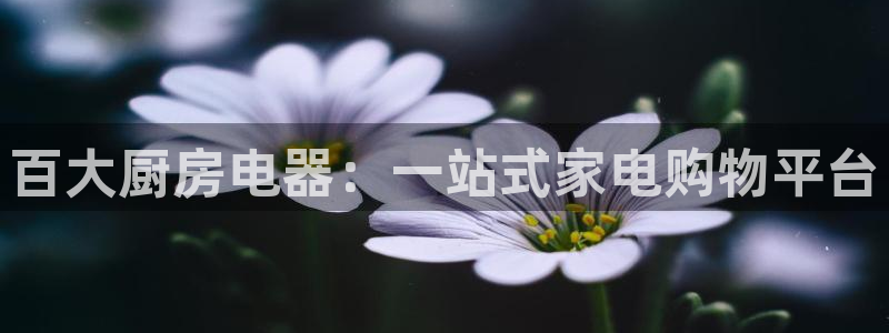 摩登精品7