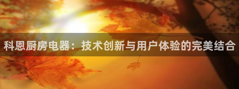摩登7游戏
