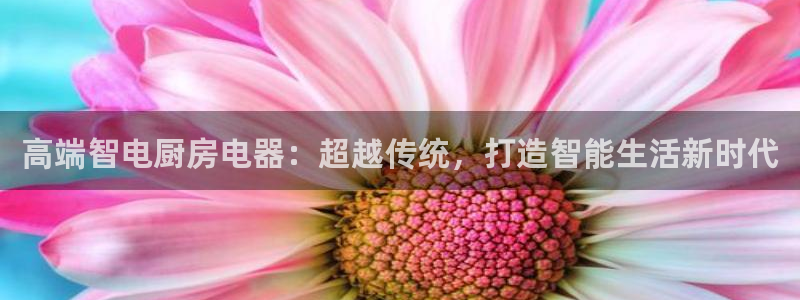 摩登7上7O667