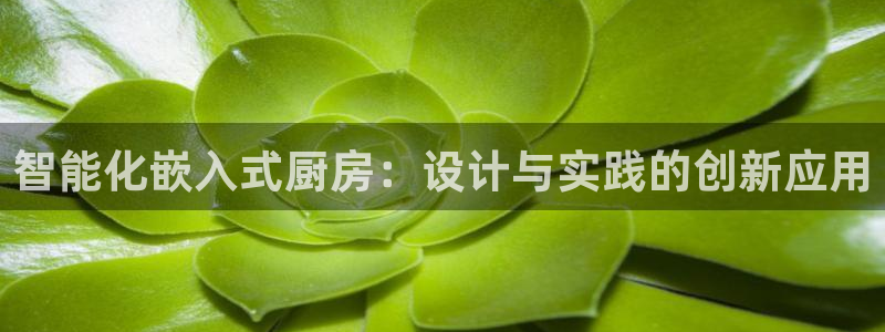 华彩7级摩登