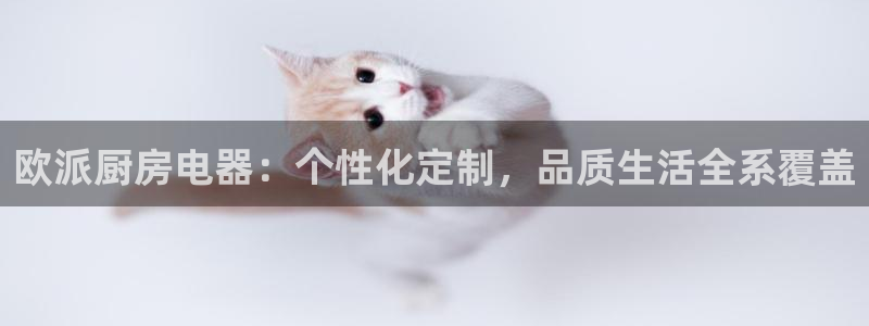 摩登7升
