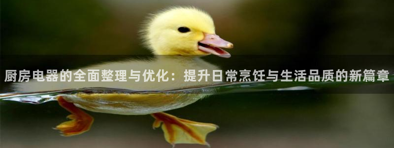 摩登3天7O667