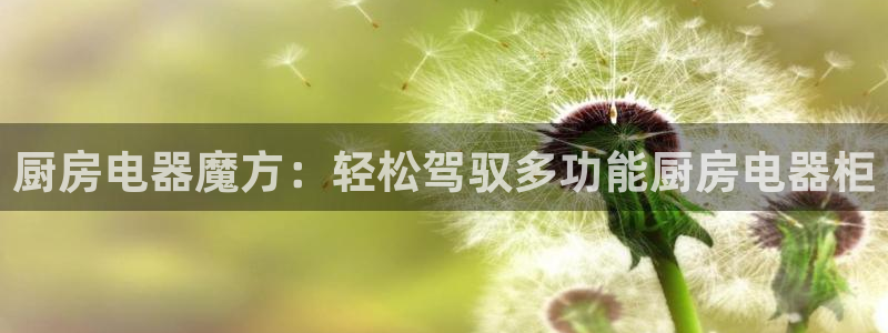 摩登7公司排名