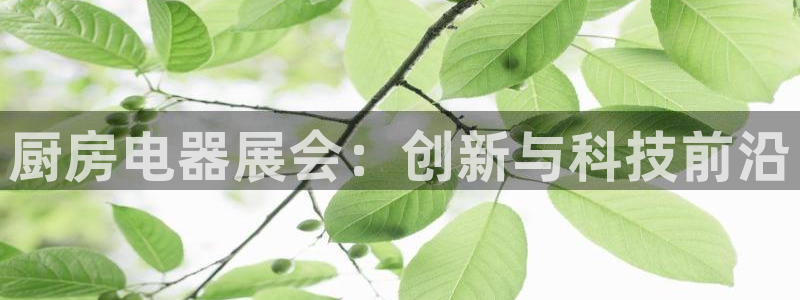 摩登7app官网下载