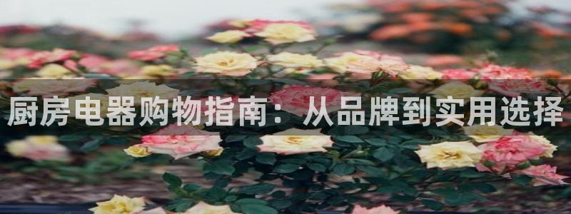 摩登7平台诈骗