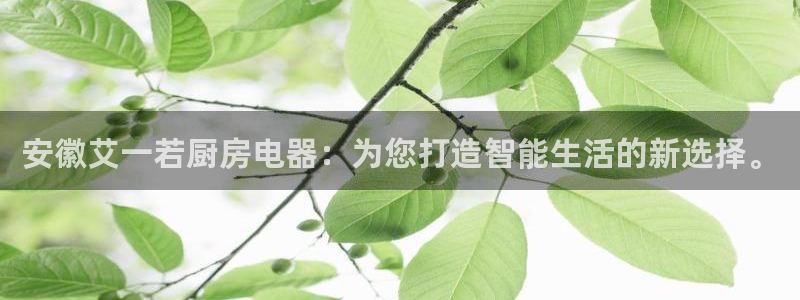 摩登7地7O667