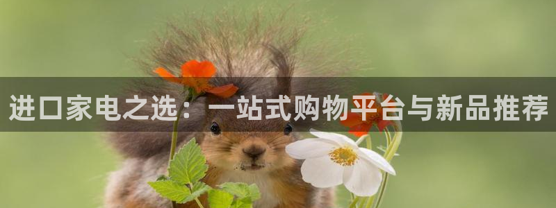 摩登6后7O667