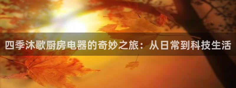 摩登7日7O667