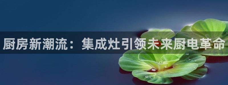 摩登7左7O667