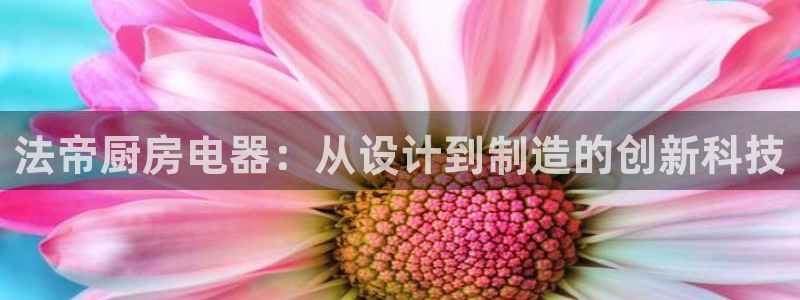摩登7左7O667