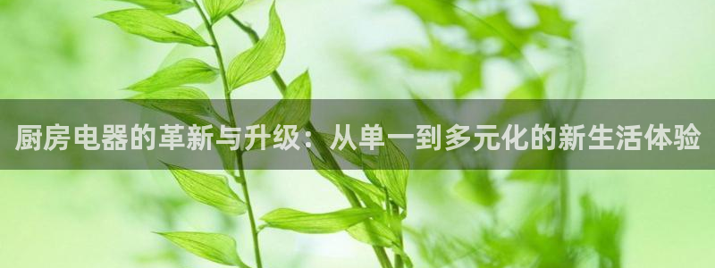 摩登3前7O667