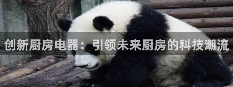 摩登7网站排名