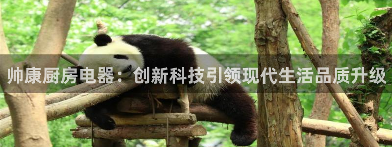 摩登3前7O667