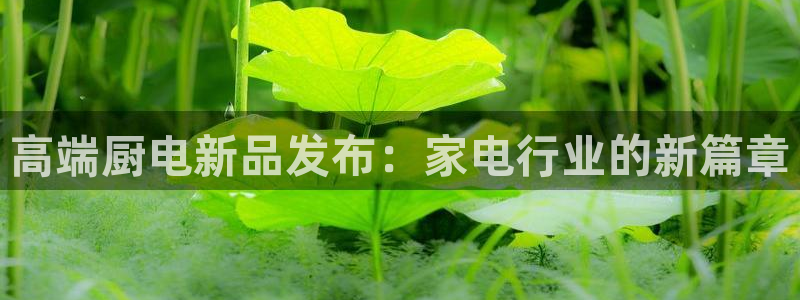 摩登7招商议333OO